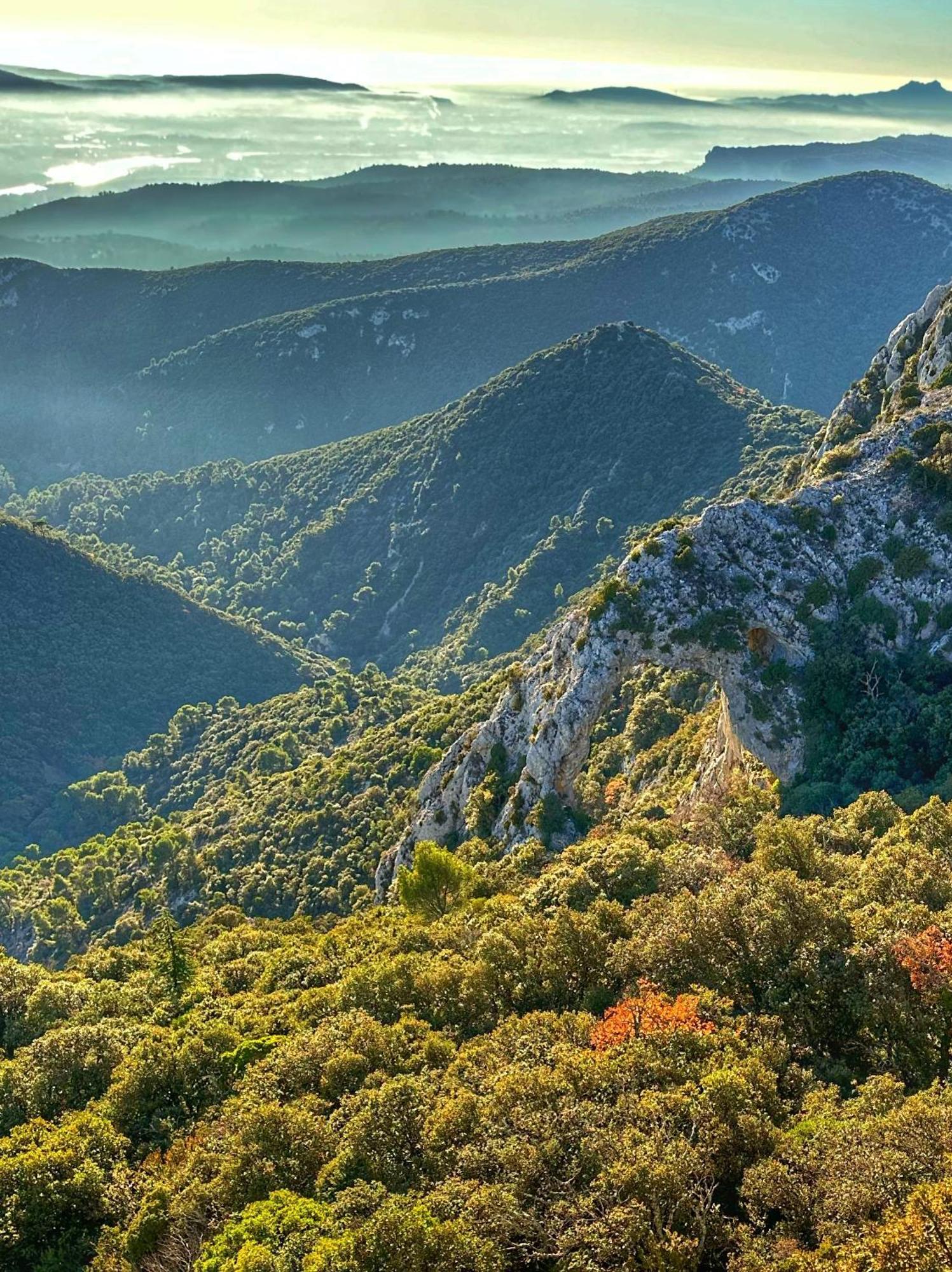 Le Petit Delphia Daire Apt Dış mekan fotoğraf